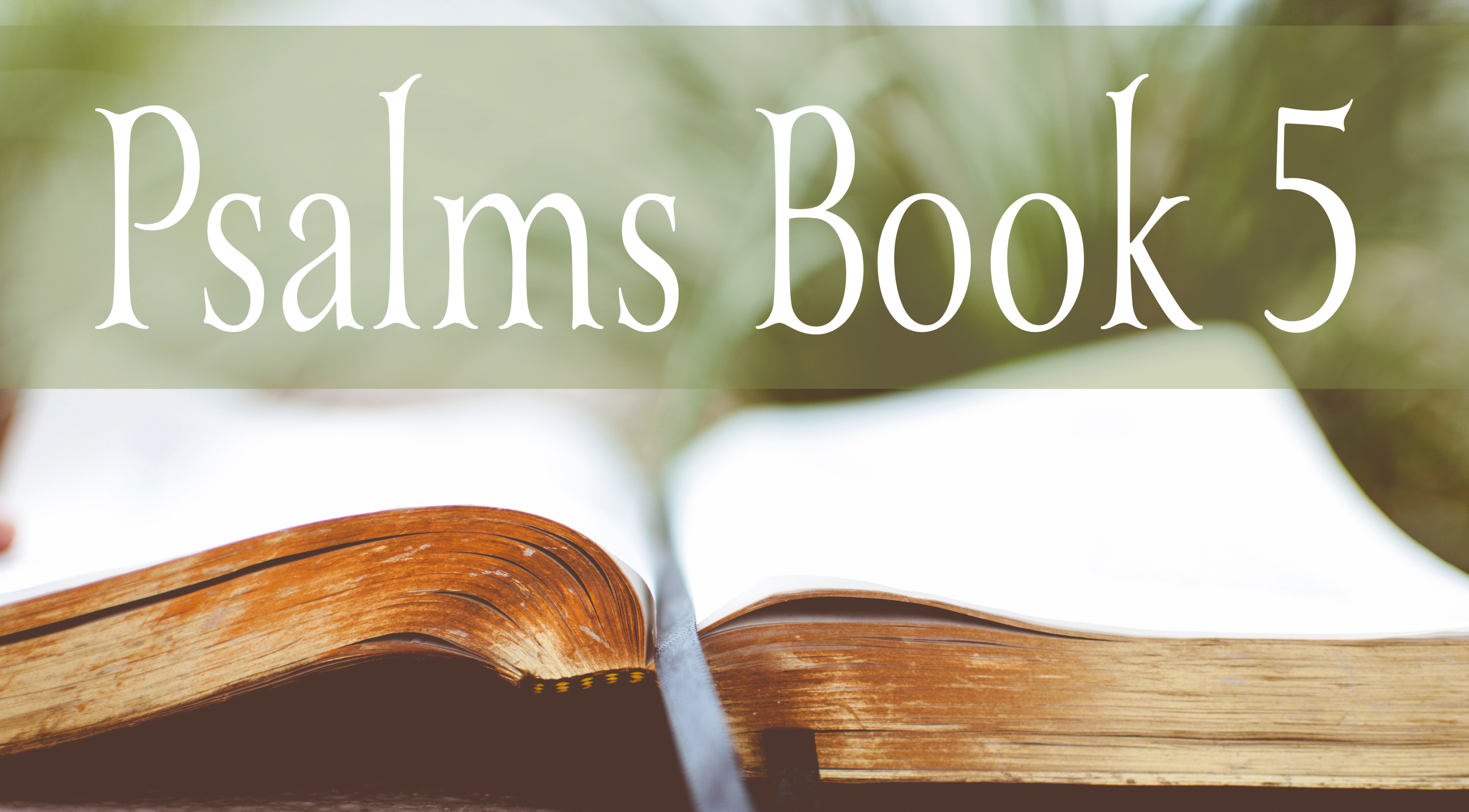 What Are The 5 Books Of Psalms